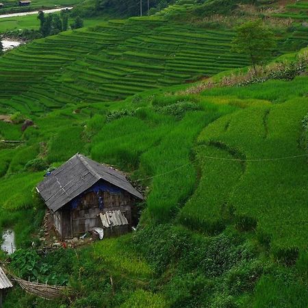 Freedom Homestay & Trekking Sa Pa Exterior foto