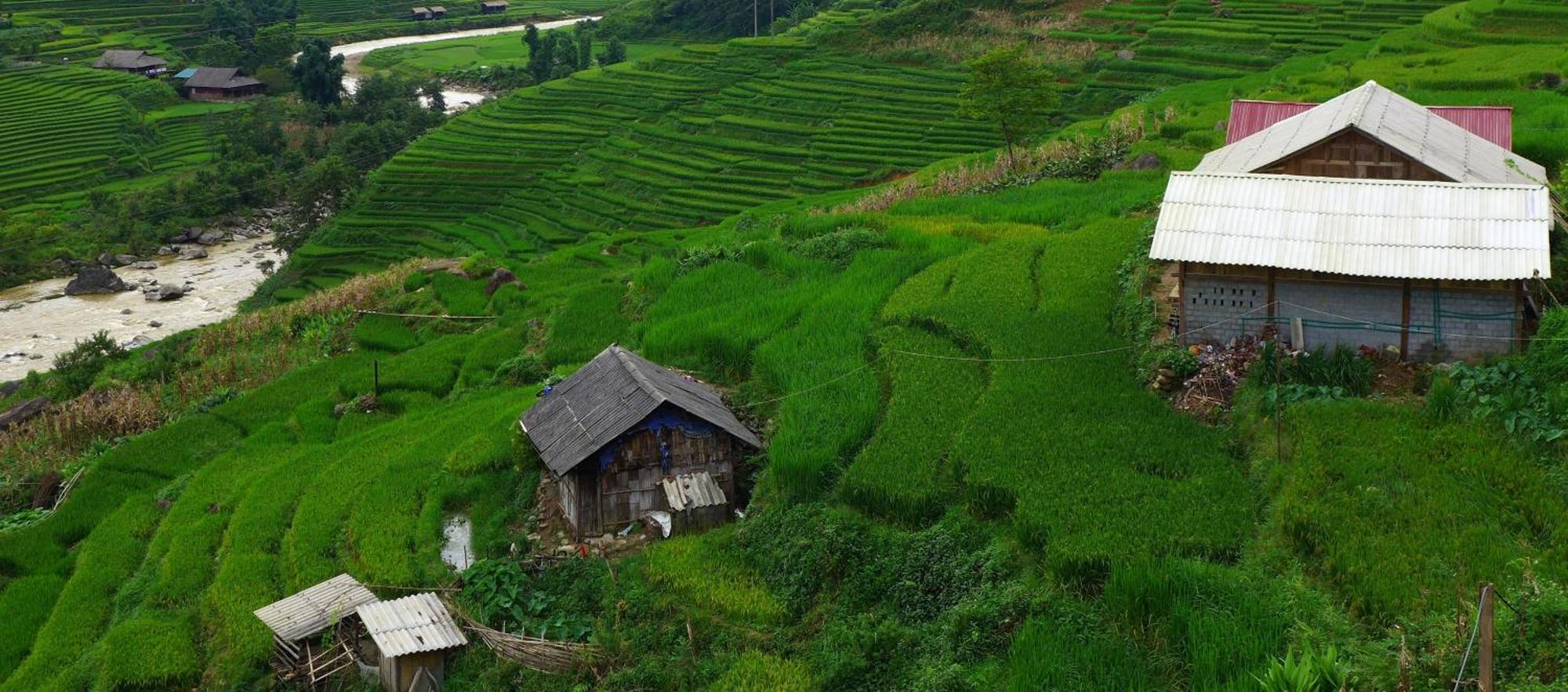 Freedom Homestay & Trekking Sa Pa Exterior foto