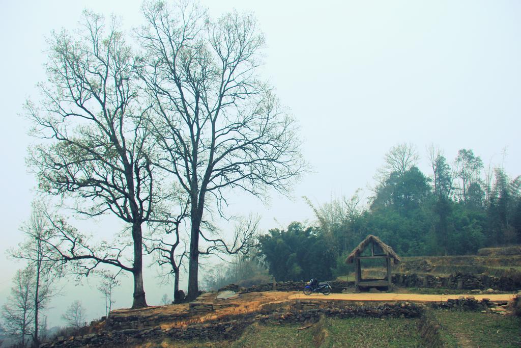 Freedom Homestay & Trekking Sa Pa Exterior foto