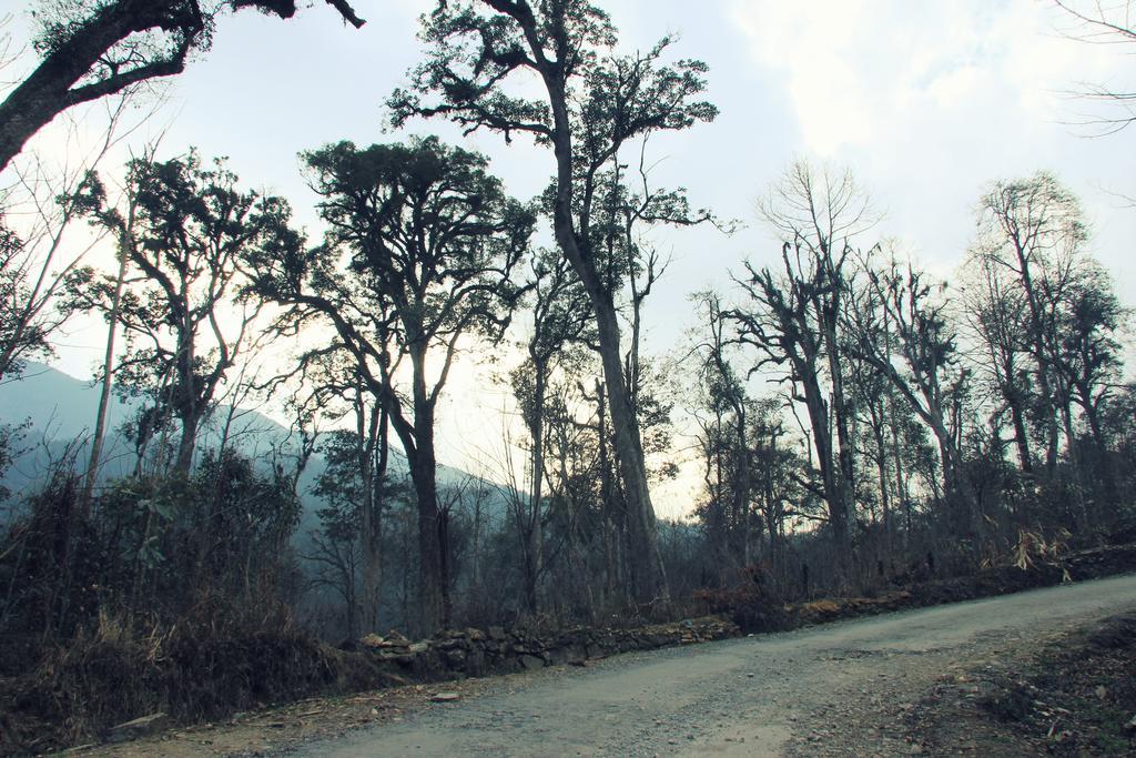 Freedom Homestay & Trekking Sa Pa Exterior foto