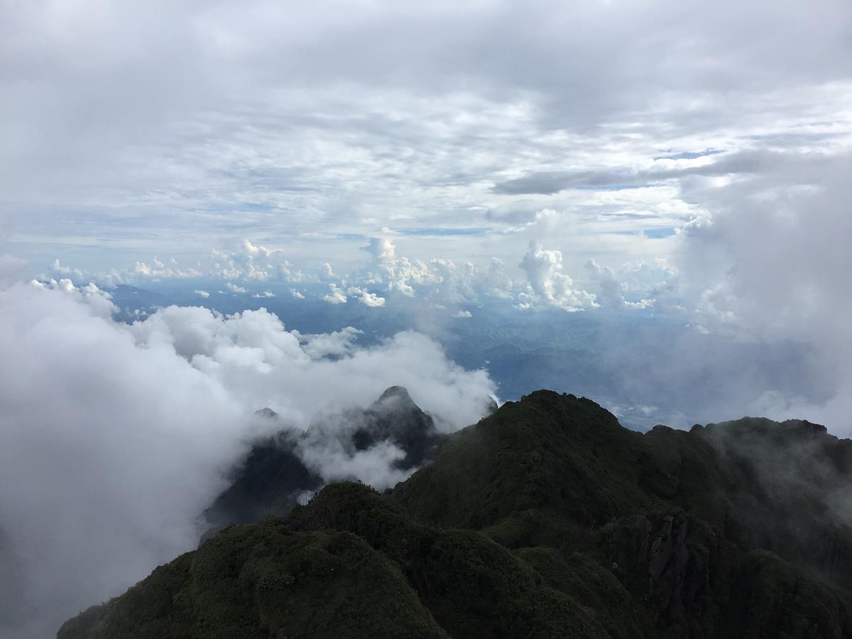 Freedom Homestay & Trekking Sa Pa Exterior foto
